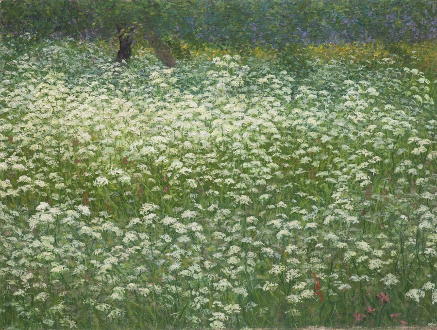 A MEADOW IN BLOOM