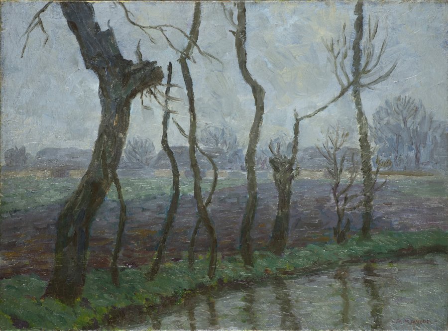 TREES BY THE RIVER