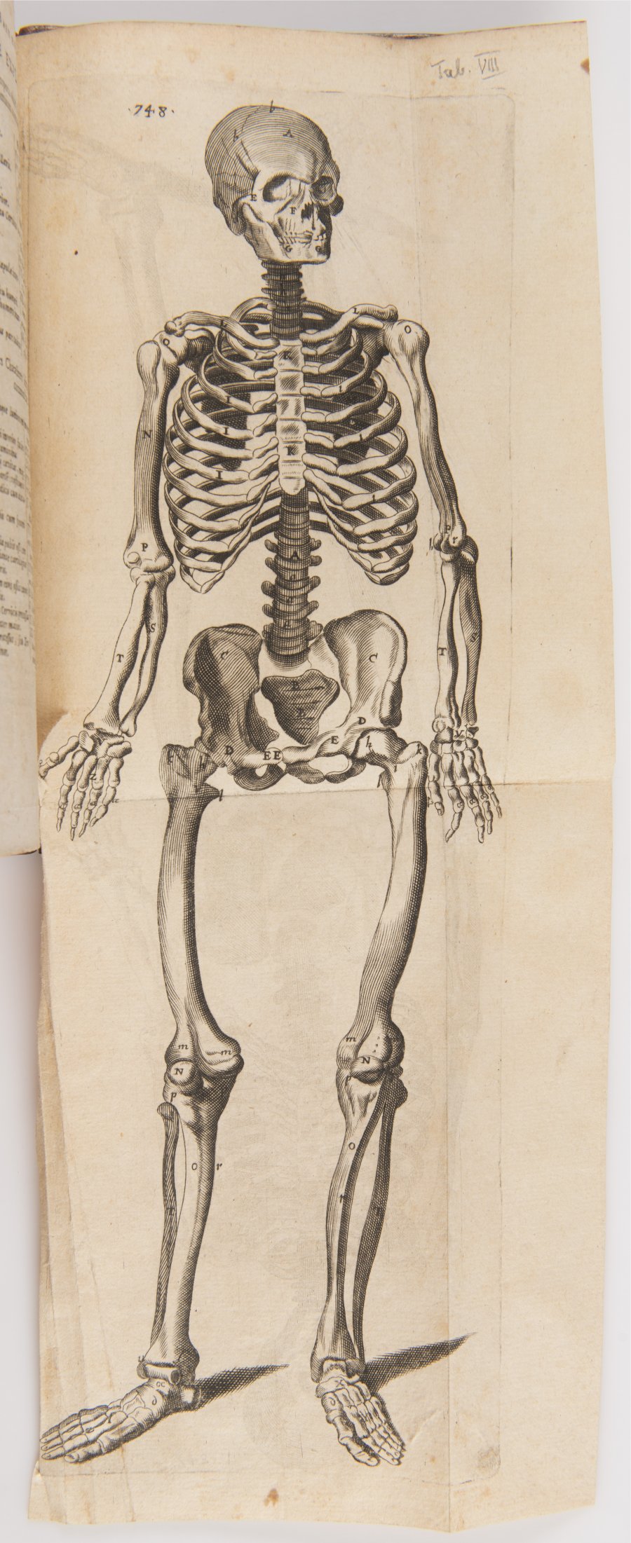 ANATOME QUARTUM RENOVATA (Anatomie, 4. Ausgabe)