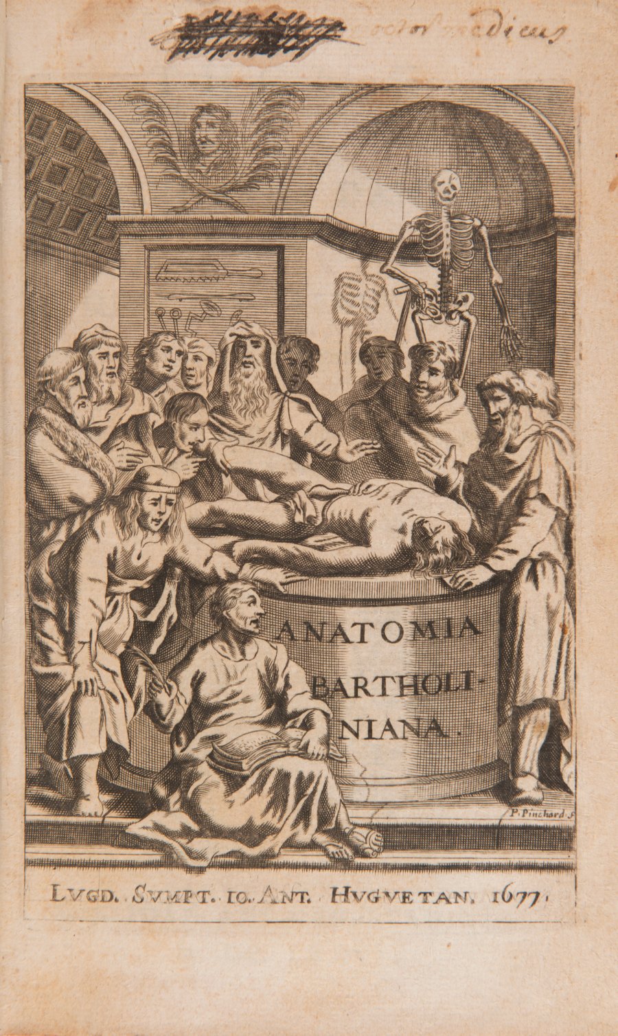 ANATOME QUARTUM RENOVATA (Anatomie, 4. Ausgabe)