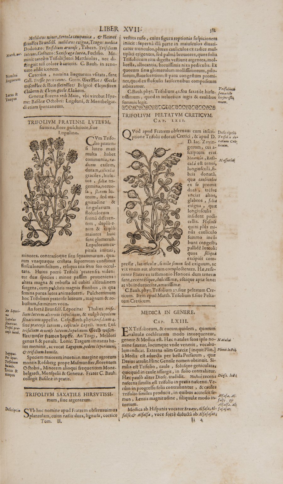 HISTORIAE PLANTARUM UNIVERSALIS