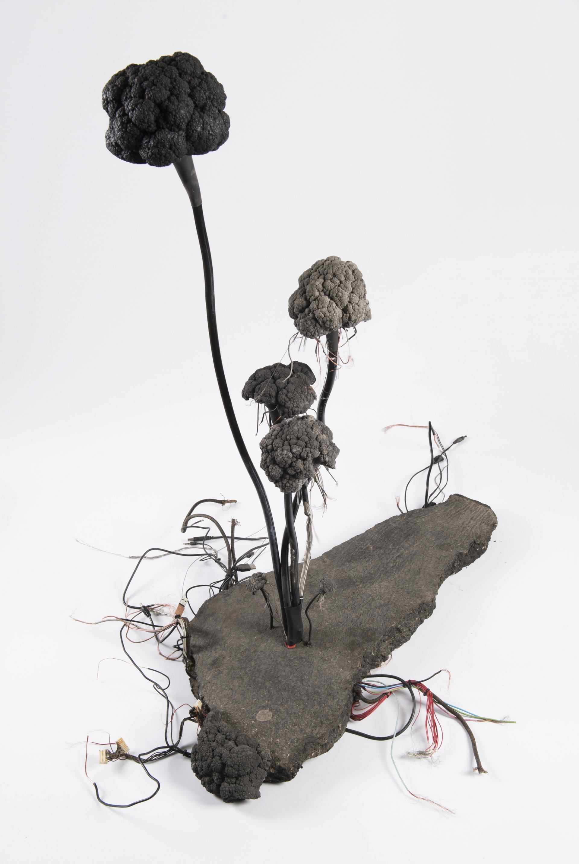 AUKTIONSKATALOG 2018 / GARTENAUKTIONEN