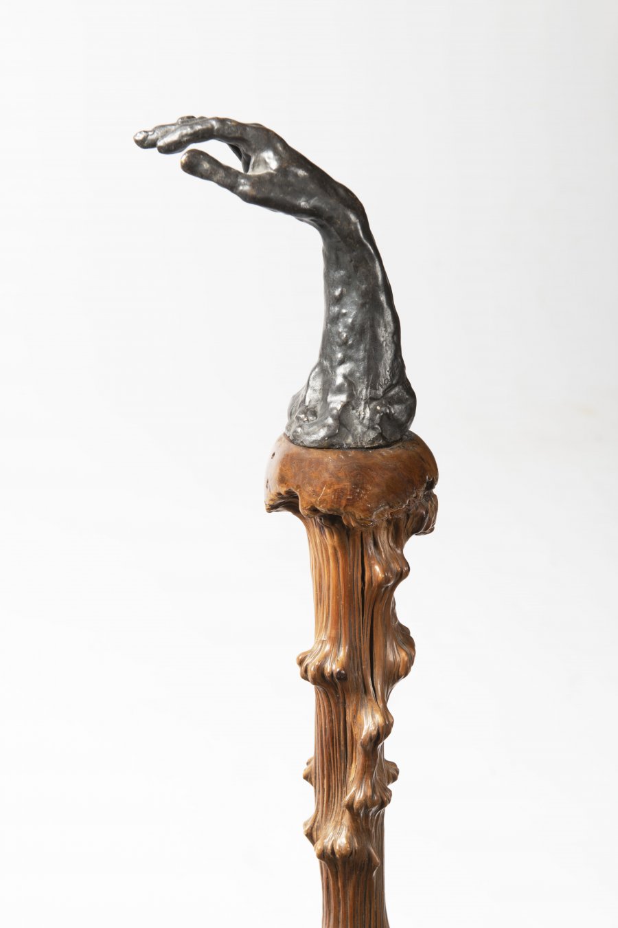 A CANE / A HAND STUDY