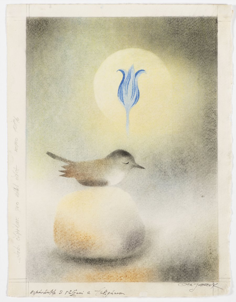 LULLABY WITH ROSES AND TULIP