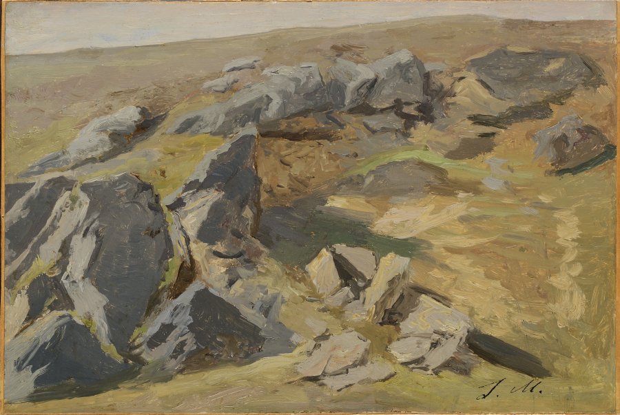 Study of a Rocky Landscape