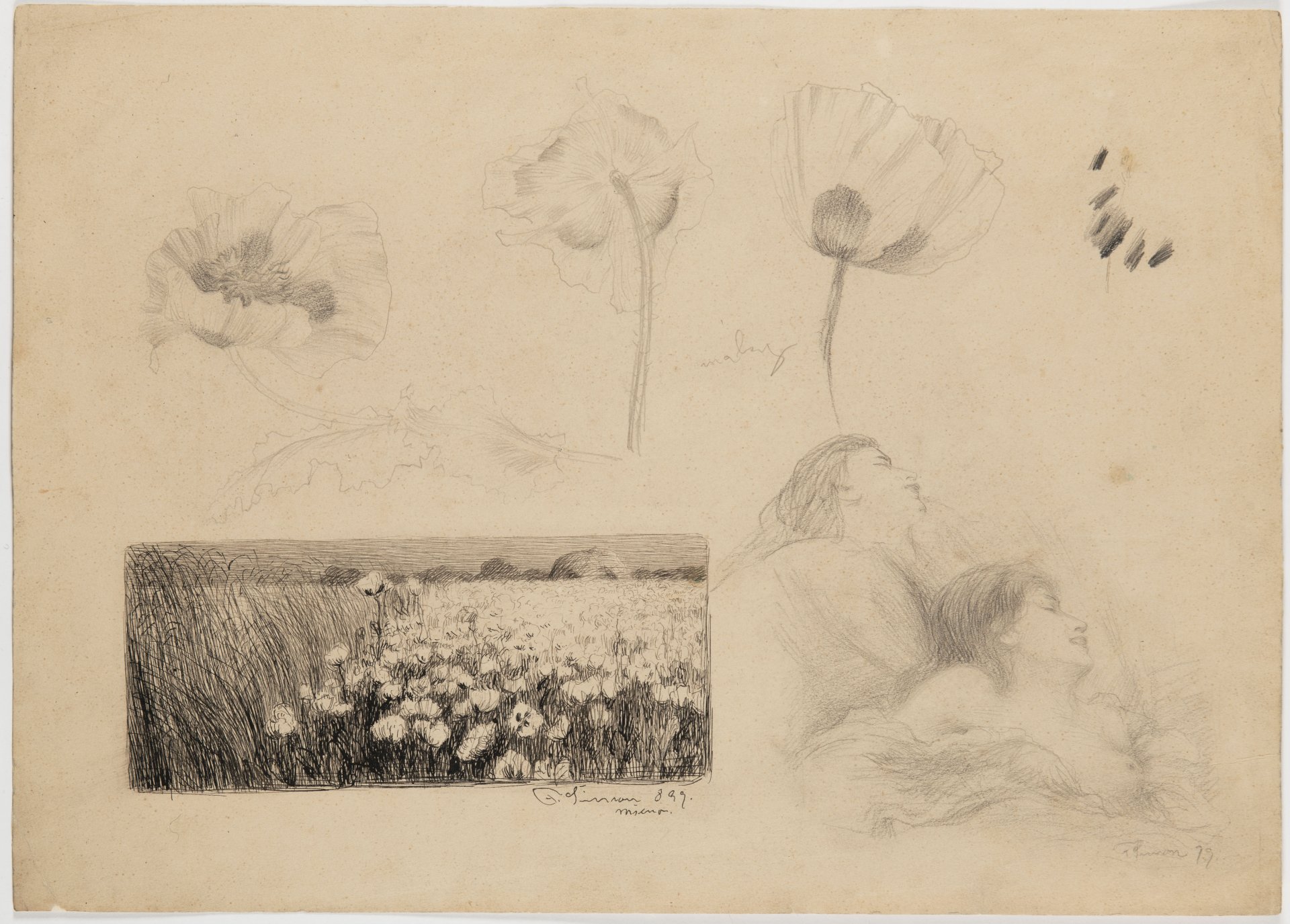 AUCTION CATALOGUE 2022 / GARDEN AUCTION