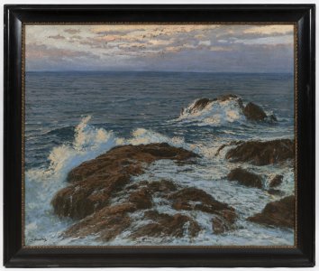 SEA SHORE