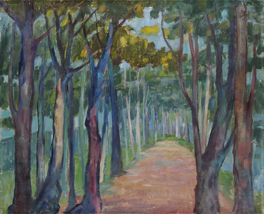 PATH IN AN AVENUE OF TREES