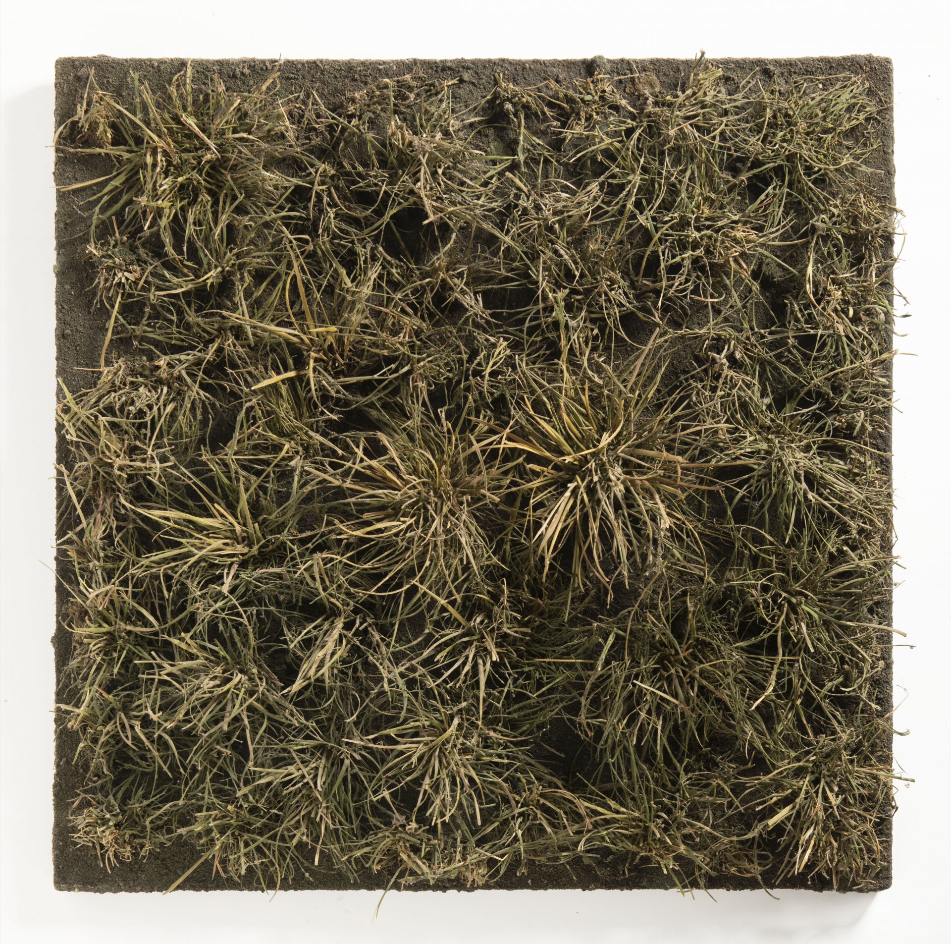 AUCTION CATALOGUE 2022 / GARDEN AUCTION