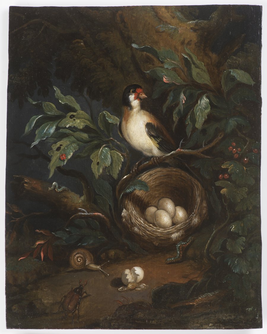 STILL LIFE WITH A GOLDFINCH