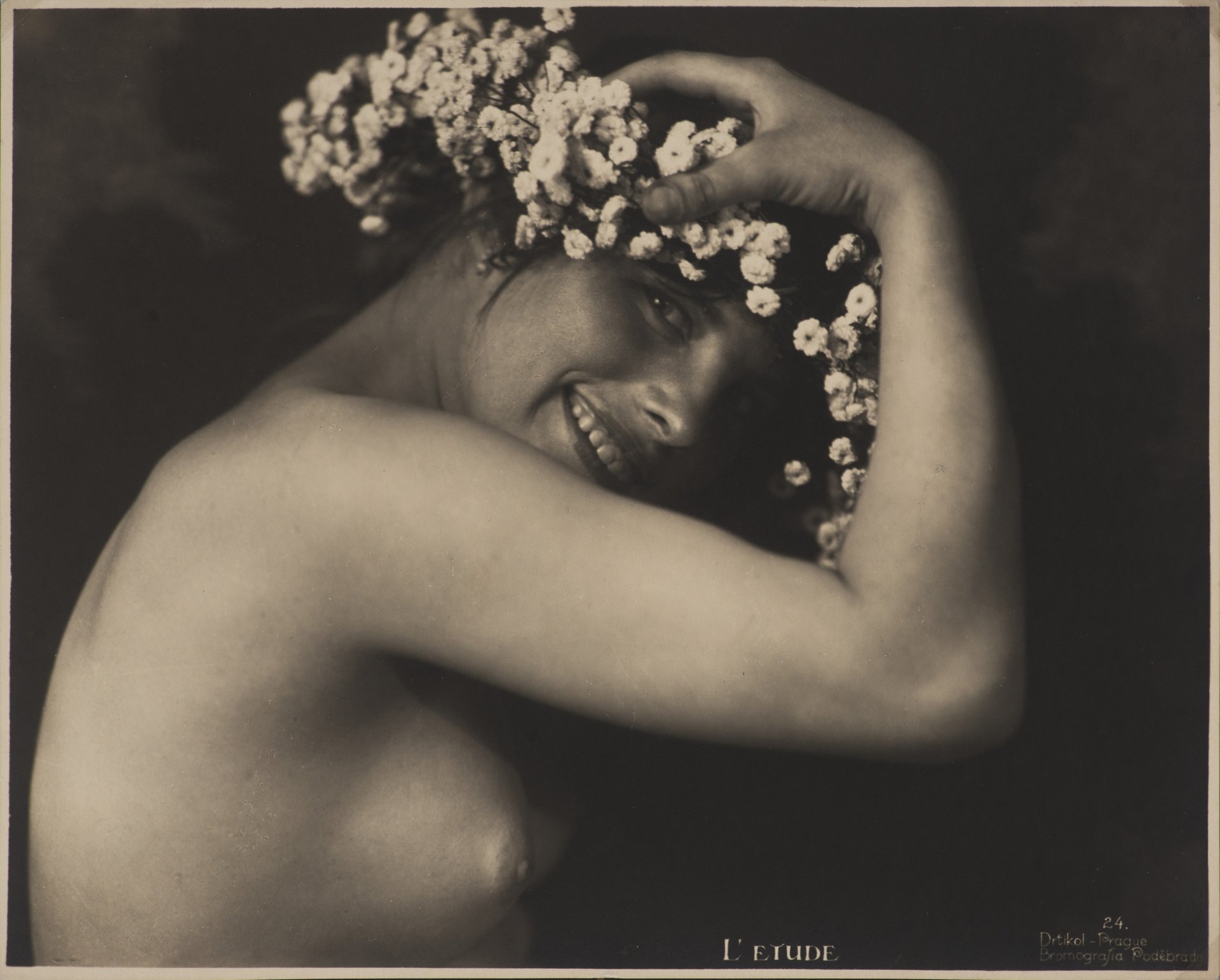 AUKČNÍ KATALOG 2017 / ZAHRADNÍ AUKCE