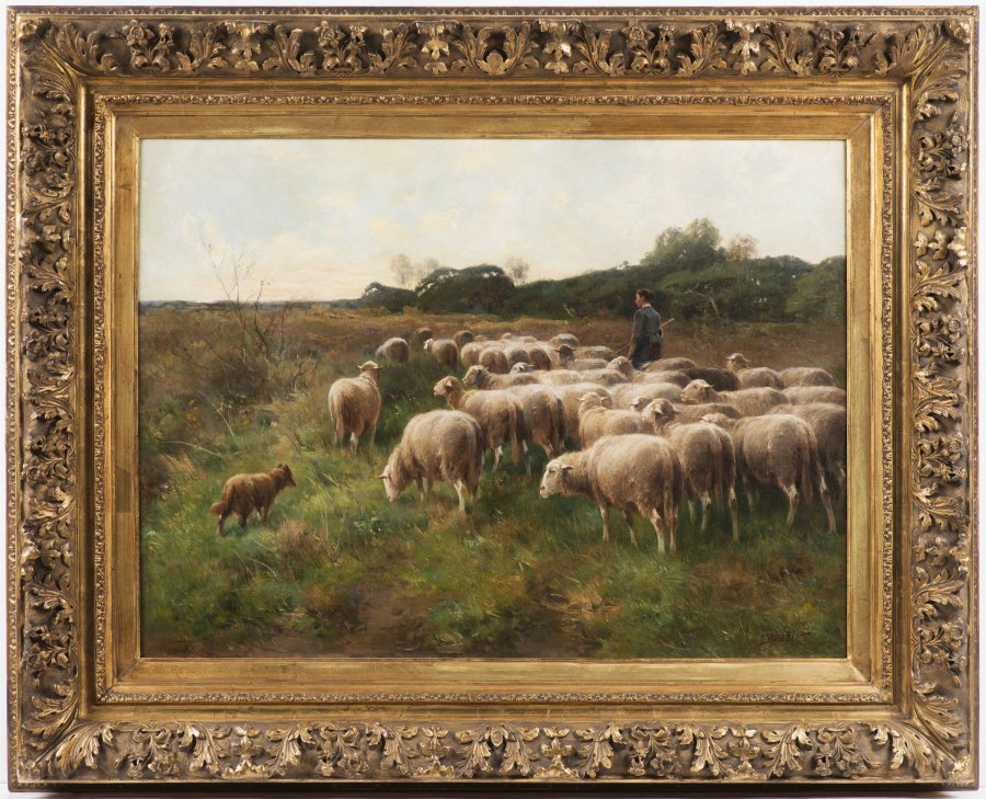 Sheep at Pasture