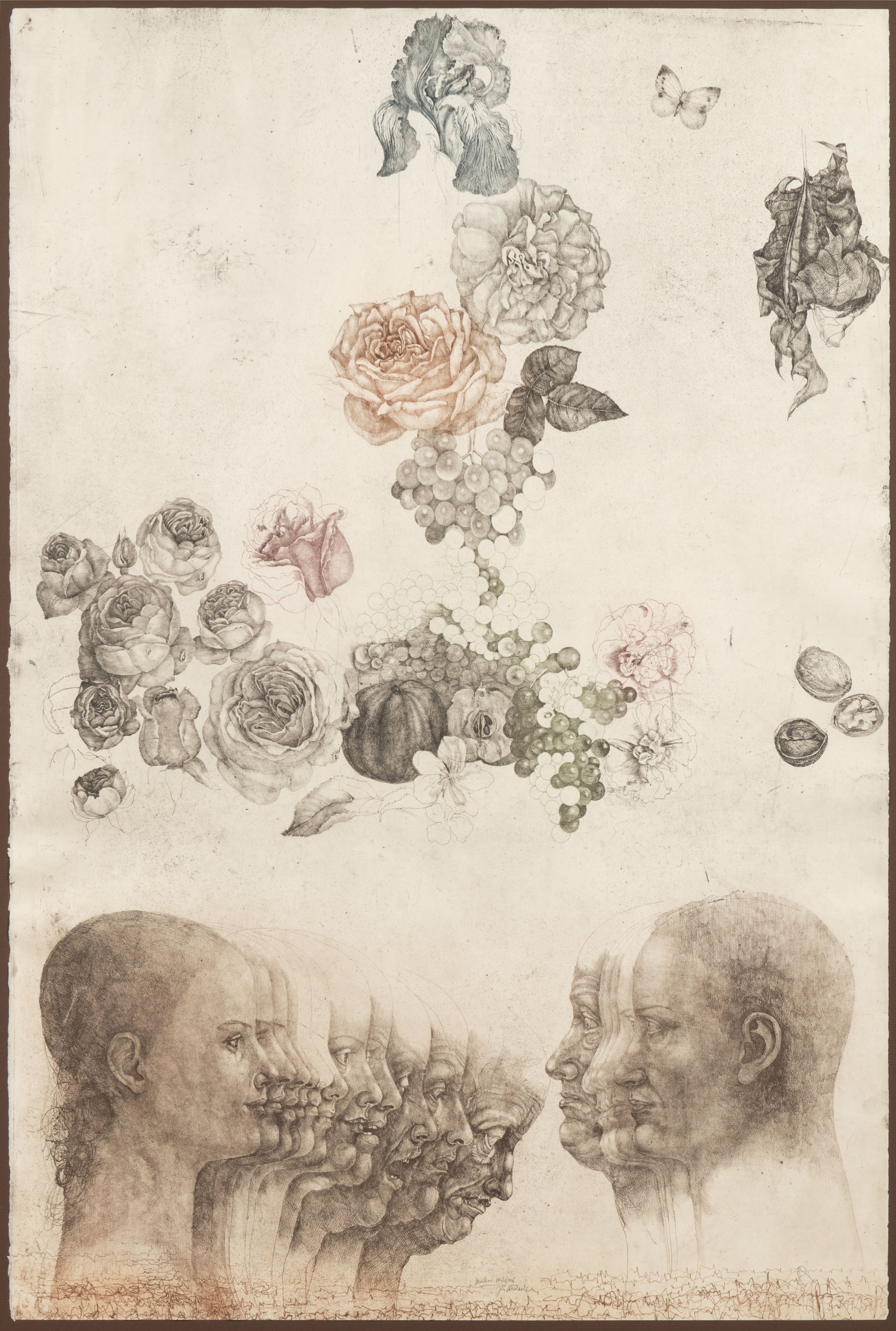 AUCTION CATALOGUE 2022 / GARDEN AUCTION