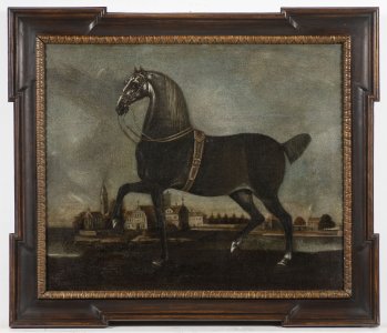 HORSE PORTRAIT