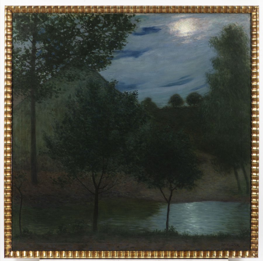 LETNÍ NOC