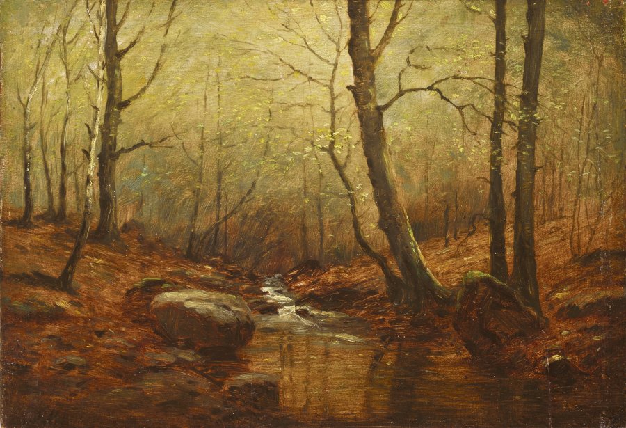 A STREAM IN THE FOREST