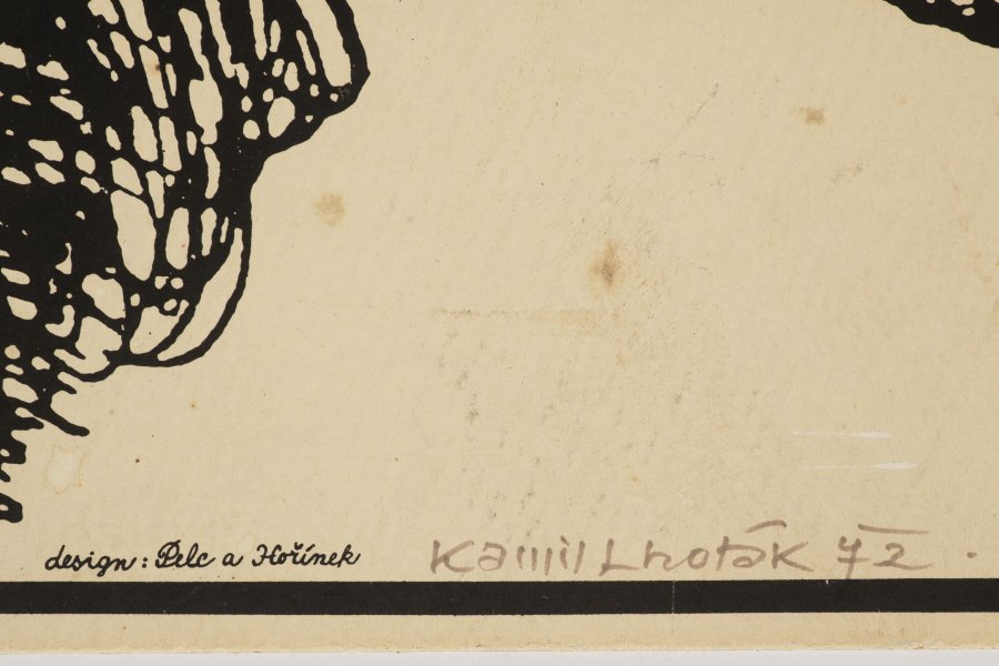 KAMIL LHOTÁK: WHAT I LIKE