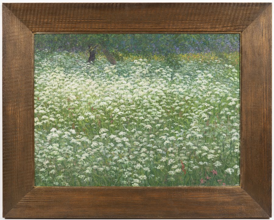 A MEADOW IN BLOOM