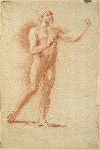 A MALE NUDE