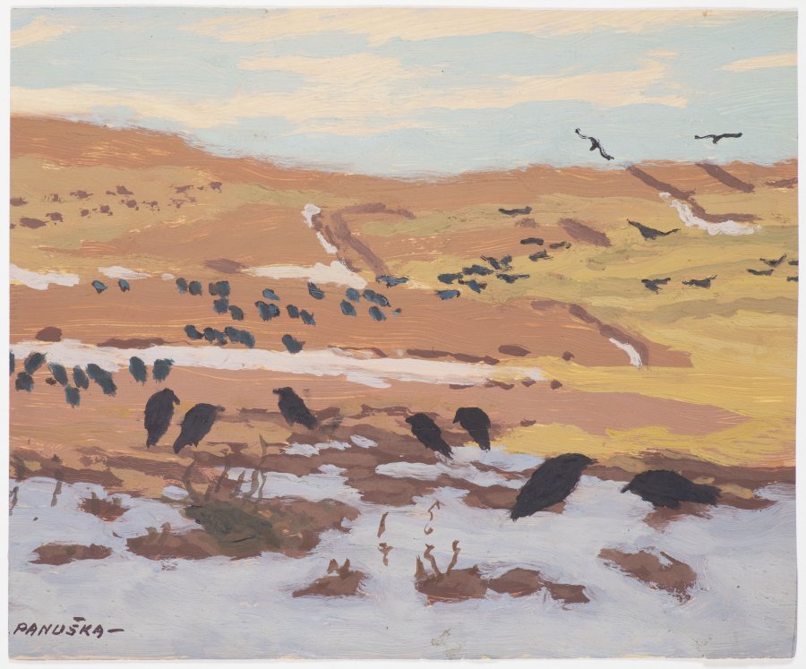ROOKS IN THE PRE-SPRING NEAR OPLANY