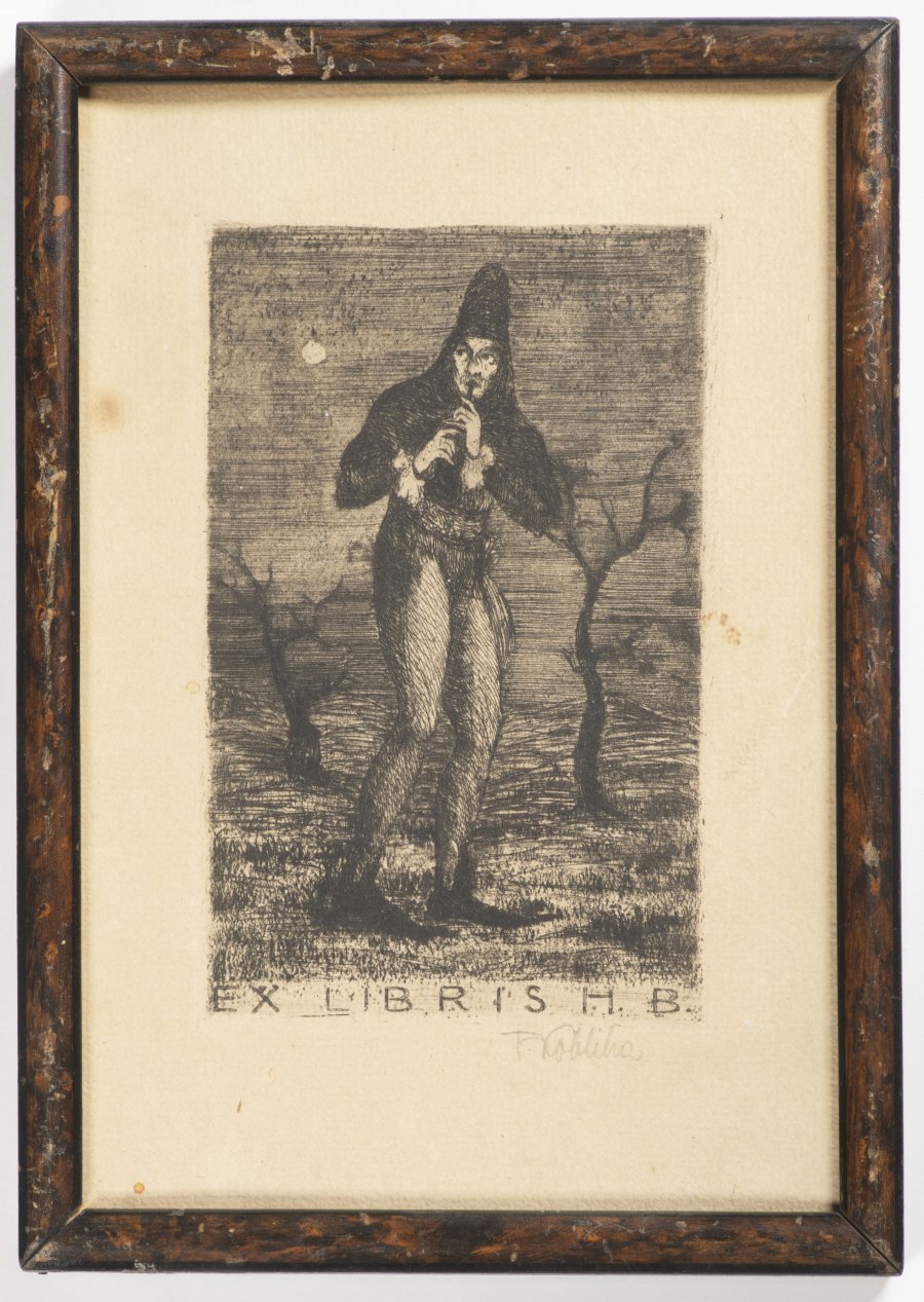 EX LIBRIS - KRYSAŘ