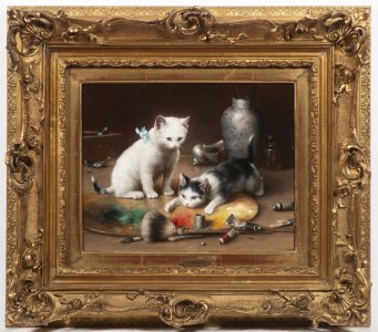 KITTENS IN THE STUDIO