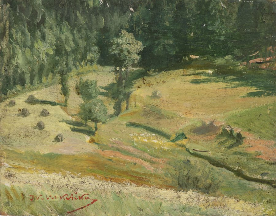 SUMMER LANDSCAPE