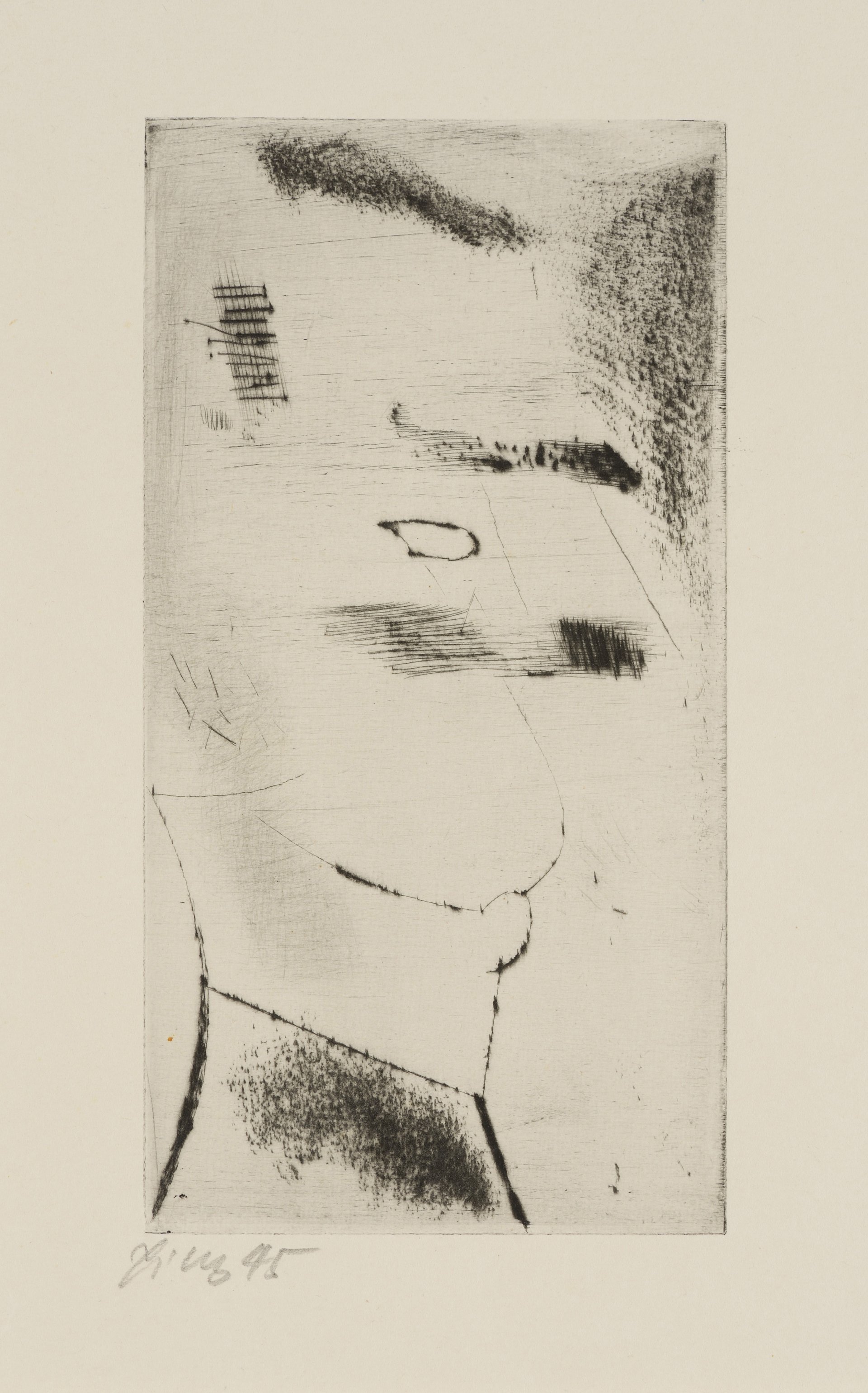 AUCTION CATALOGUE 2016 / GARDEN AUCTION