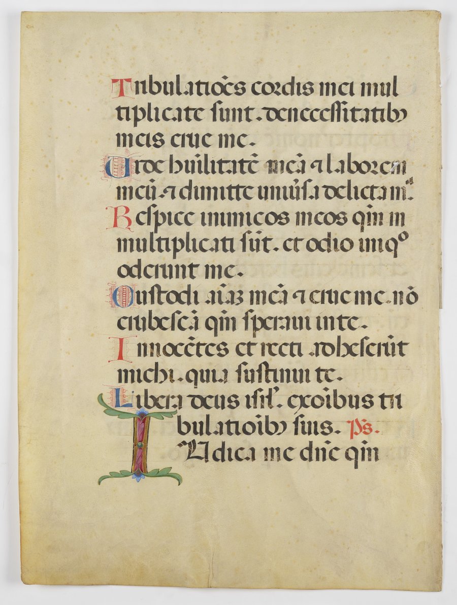 Pages from a Late Gothic Antiphonary 
