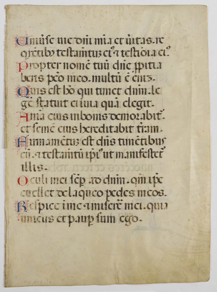 Pages from a Late Gothic Antiphonary 