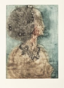 DONNA SIMONETTA VESPUCCI