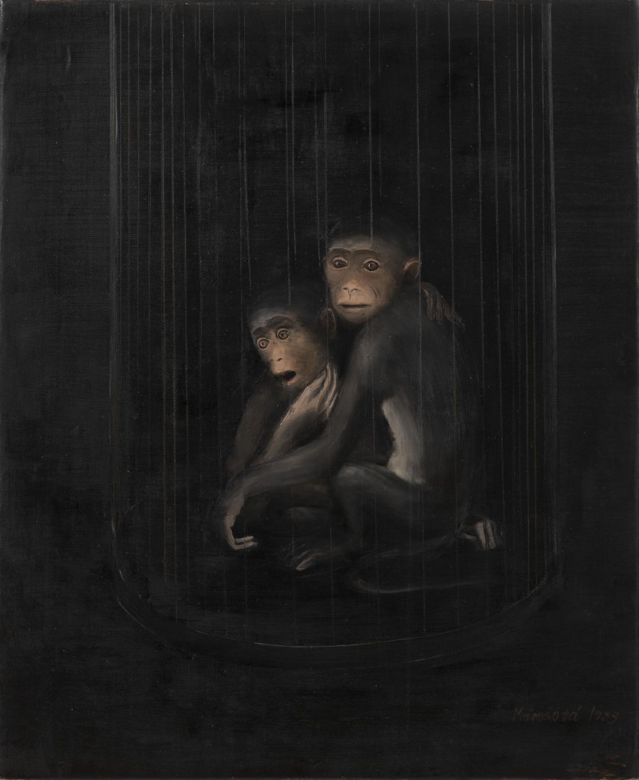 MONKEYS IN A CAGE