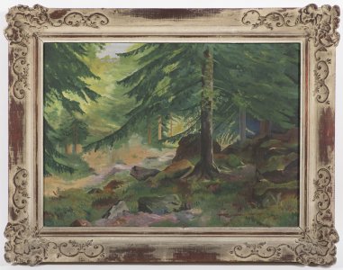 FOREST INTERIOR