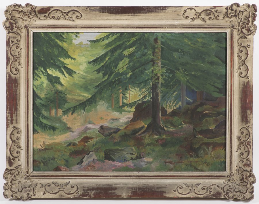 FOREST INTERIOR
