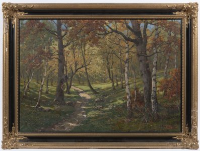 PATH IN A FOREST