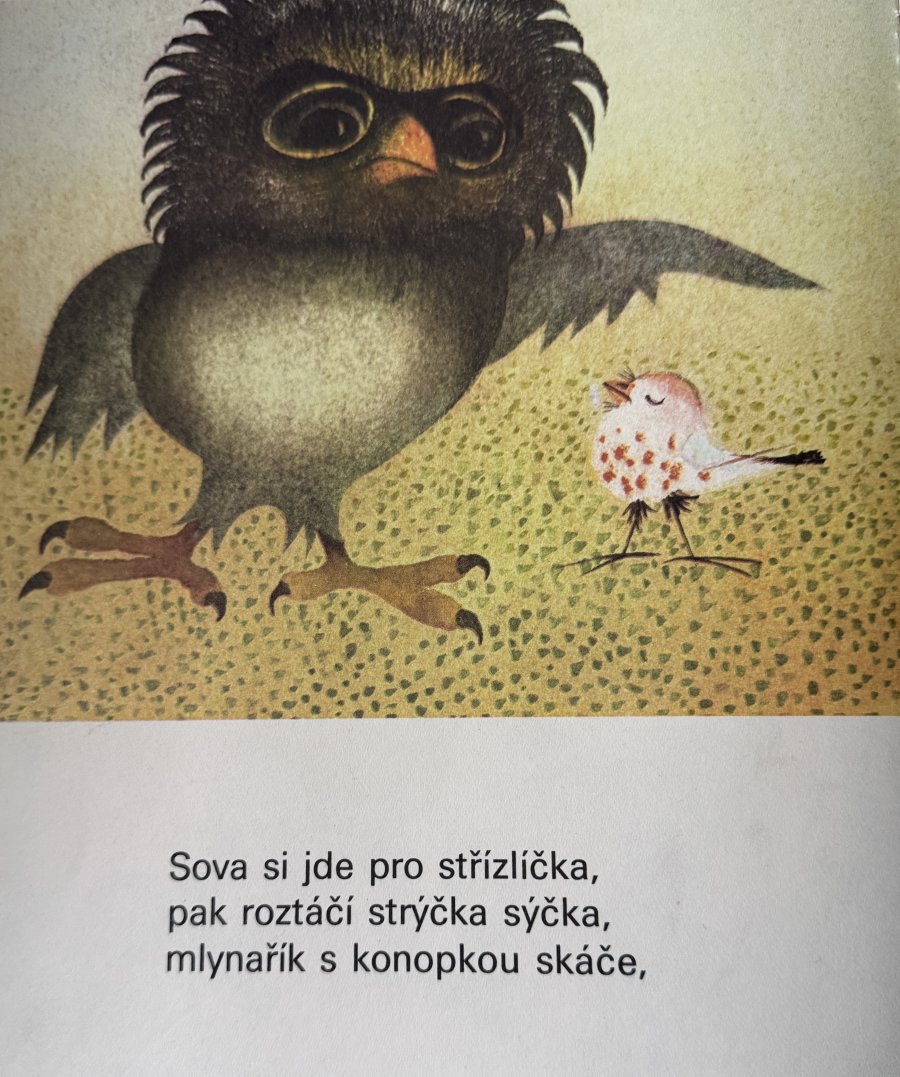 SOVA SI JDE PRO STŘÍZLÍČKA