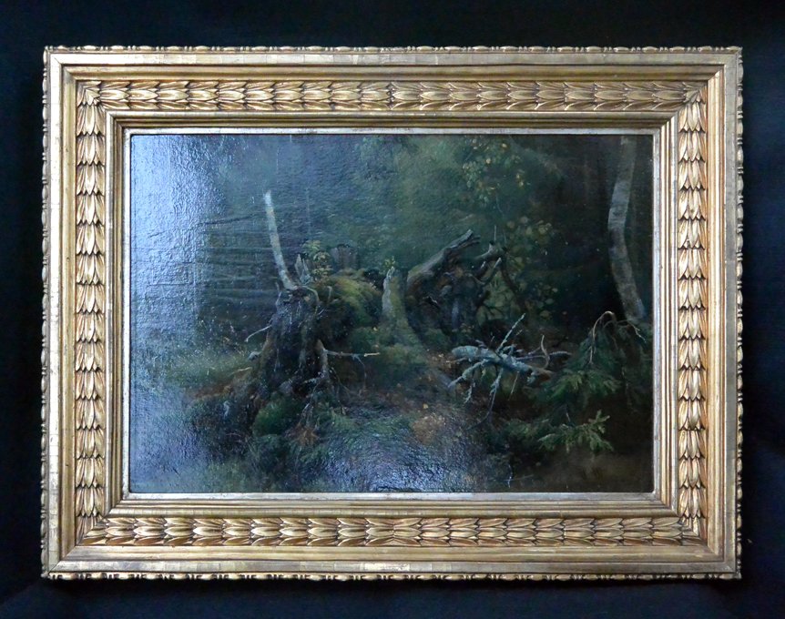 FOREST STILL LIFE