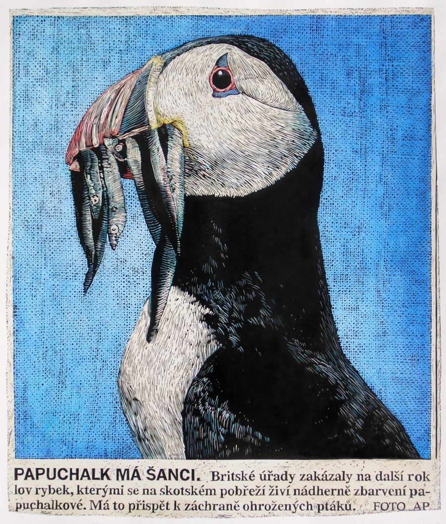 From the Papers (Puffin)