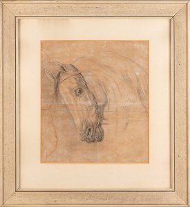 HEAD OF A HORSE