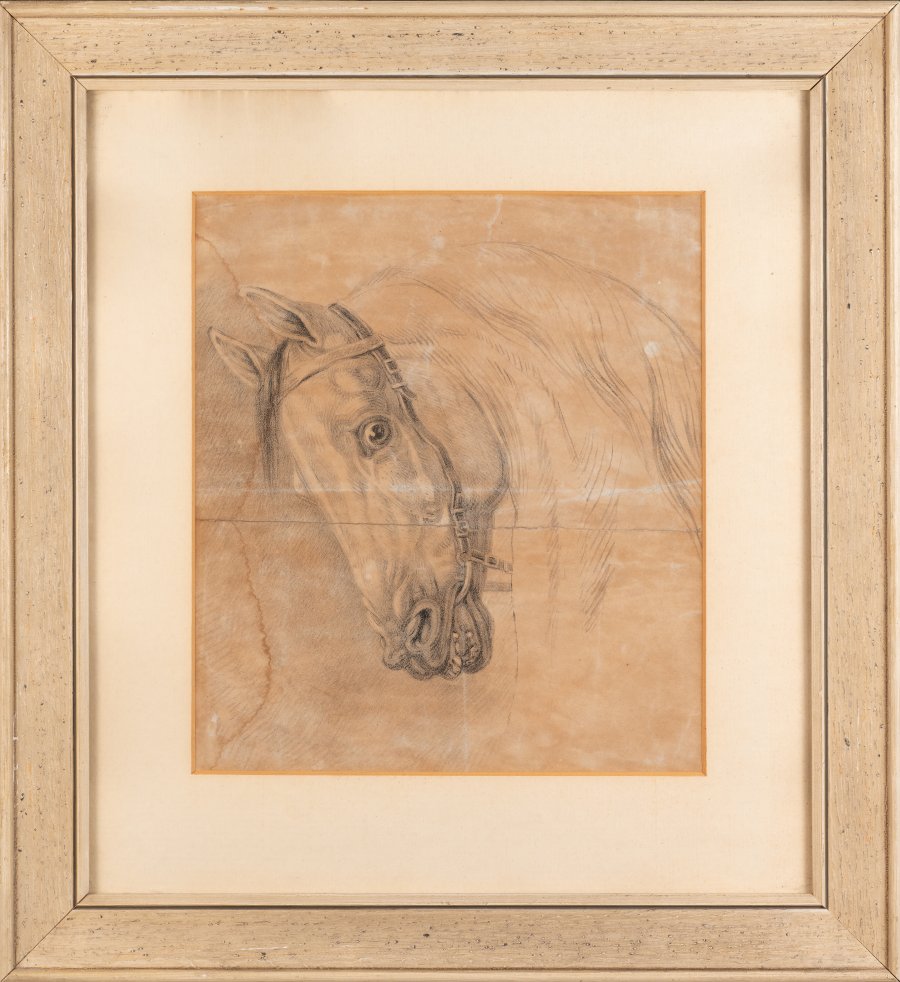 HEAD OF A HORSE