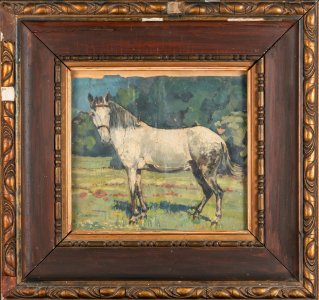 PORTRAIT OF A HORSE