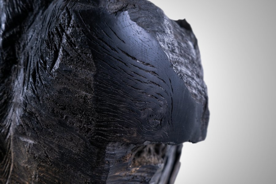 ROYAL – SUBFOSSIL OAK